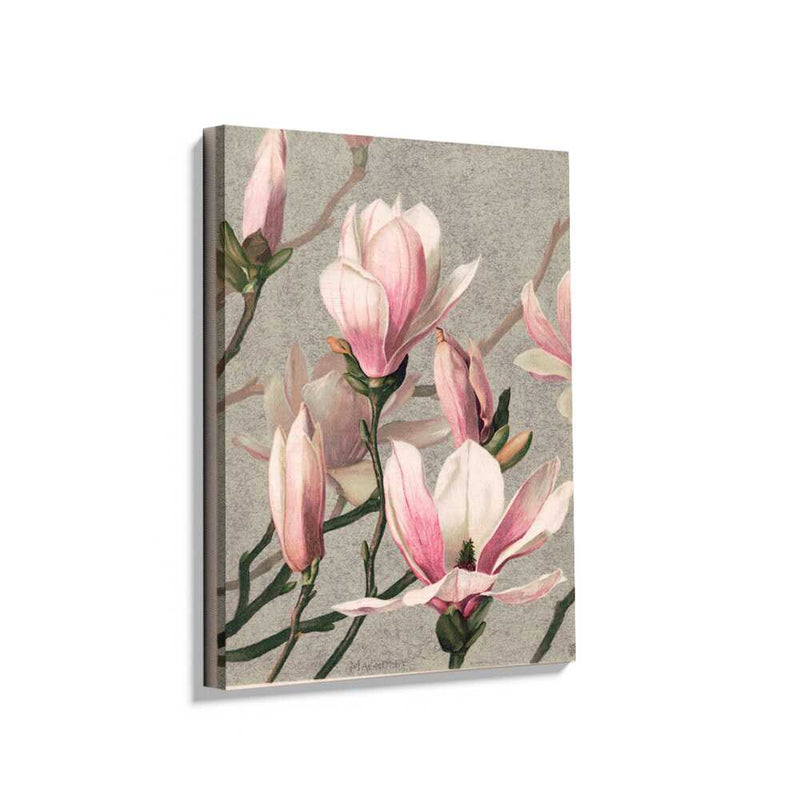 Picasoul - Picasoul Curated - Magnolia Blossoms 01 - Wall Decor