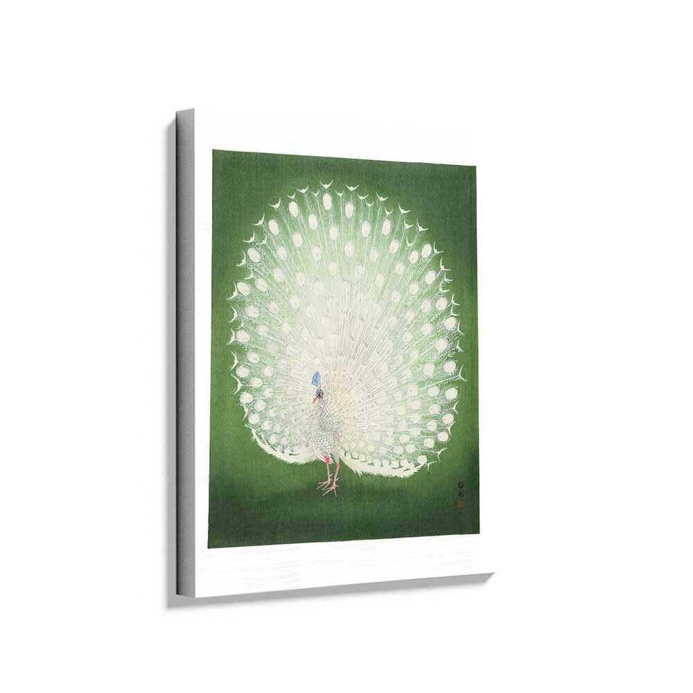 Picasoul - Picasoul Curated - Majestic Peacock Display - Wall Decor