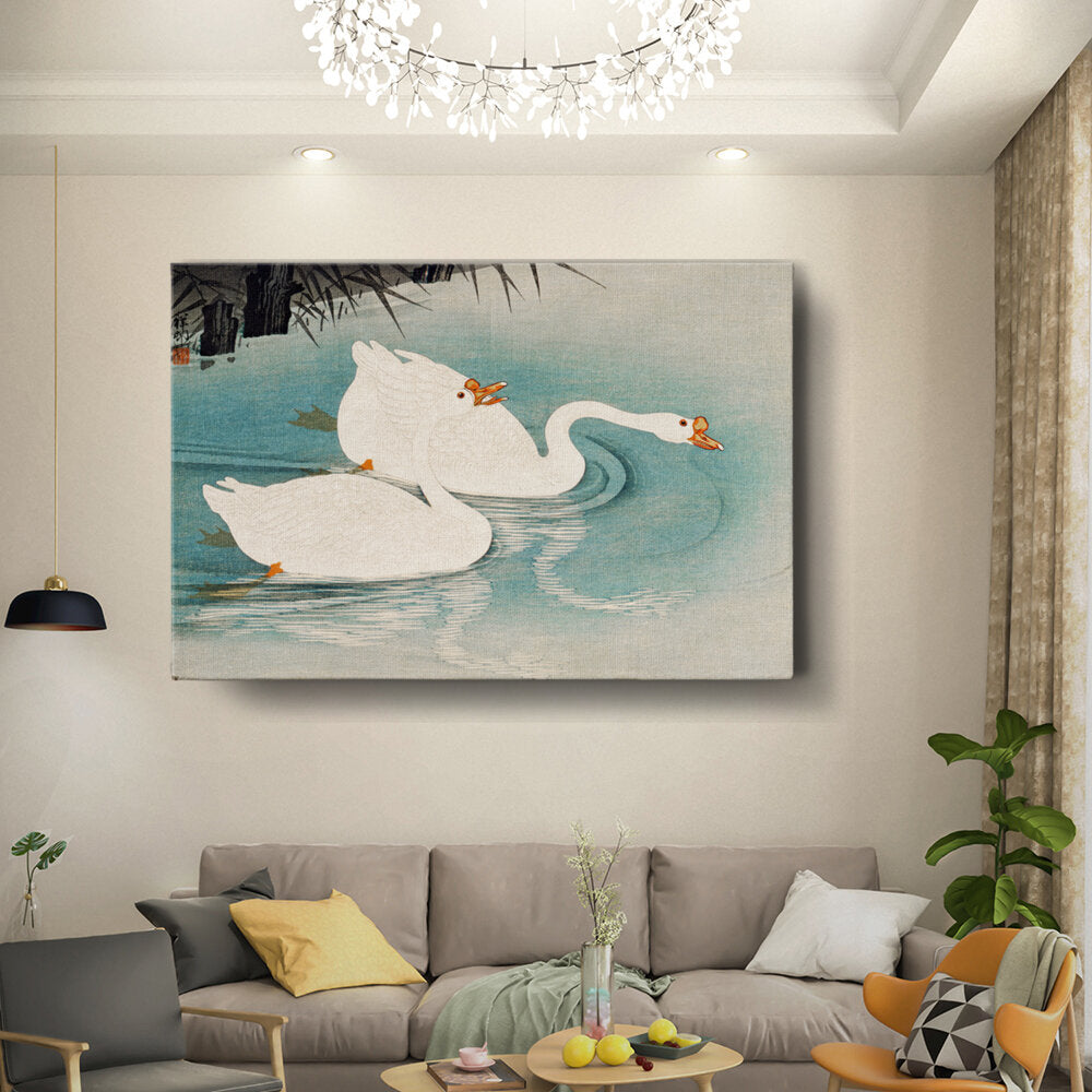 Swans In Tranquil Waters