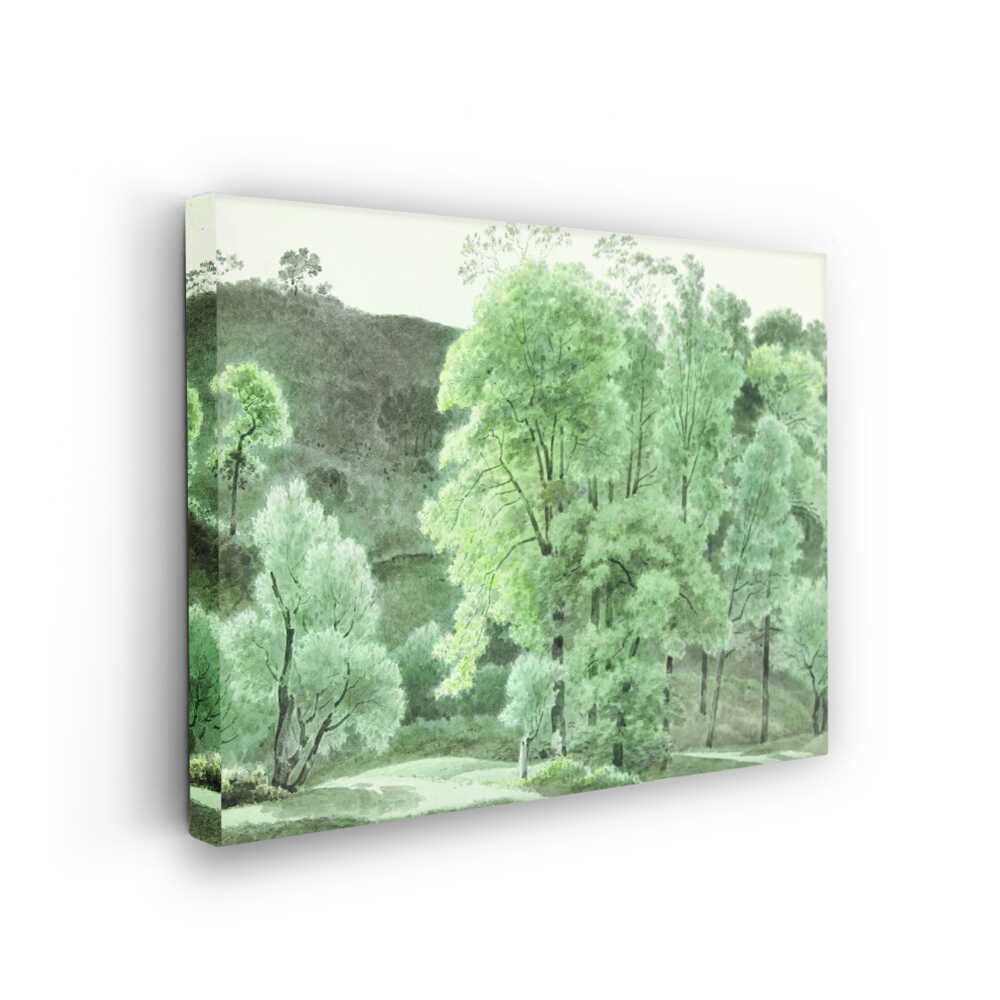 Picasoul - Picasoul Curated - Lush Green Landscape 01 - Wall Decor