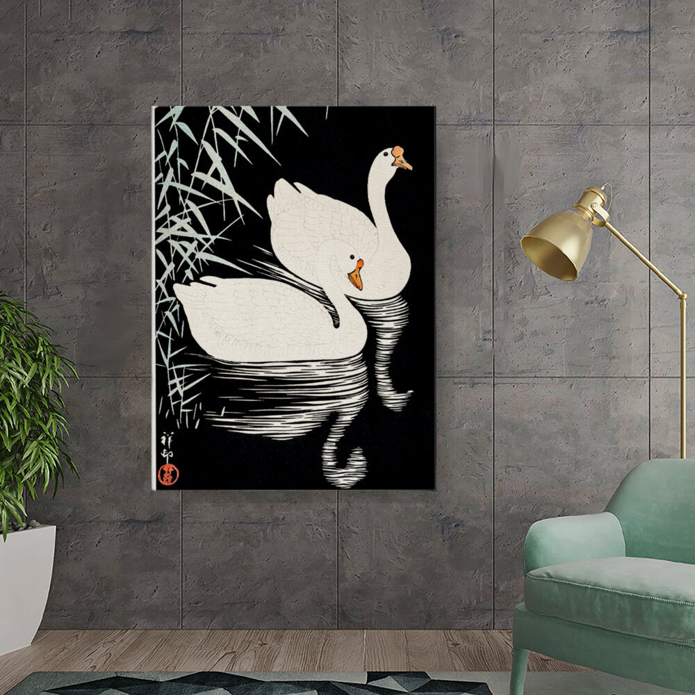 Elegant Swans