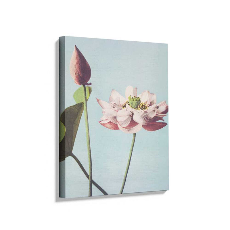 Picasoul - Picasoul Curated - Lotus Blossom - Wall Decor