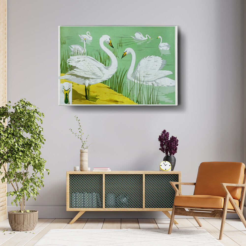 Graceful Swans In Tranquil Waters