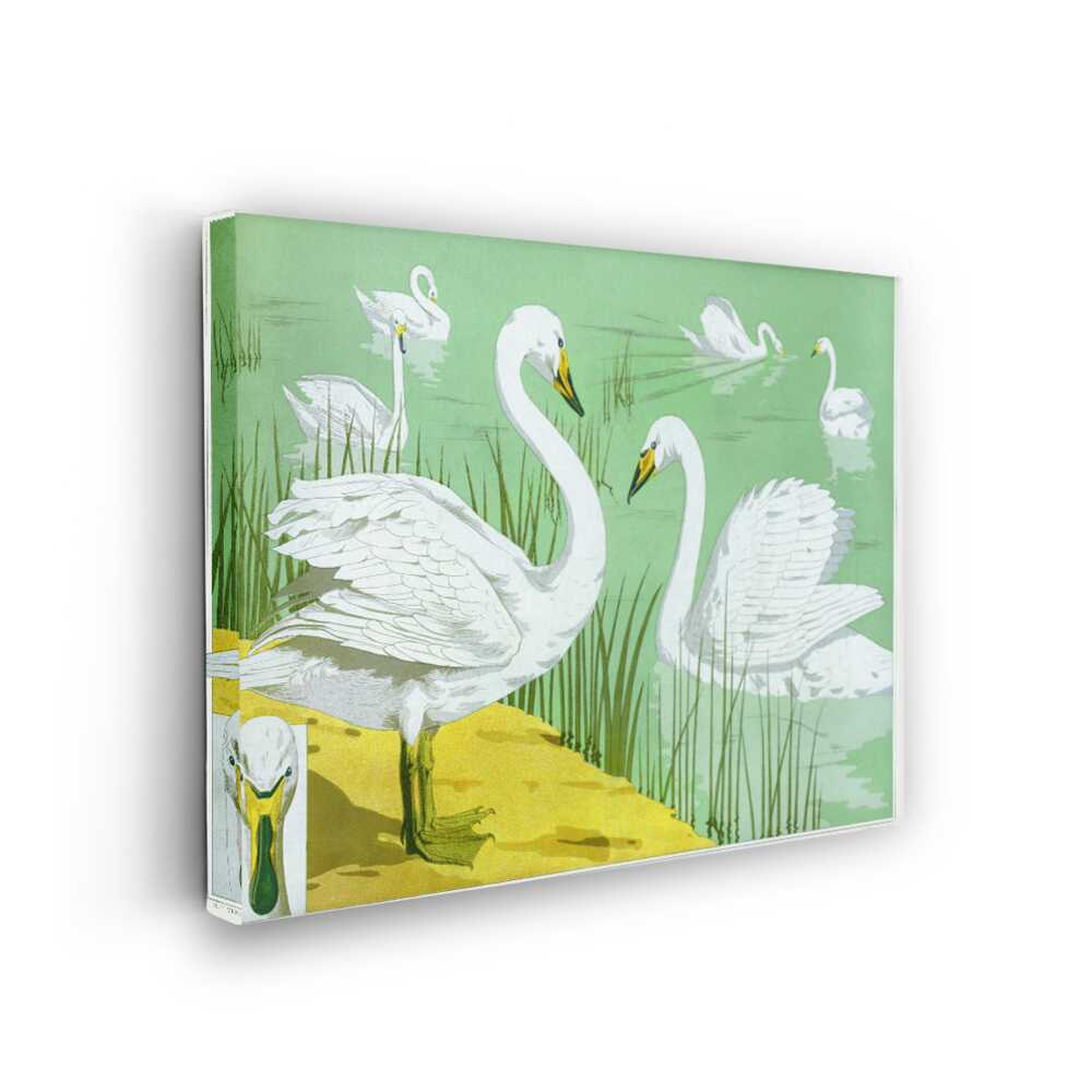 Picasoul - Picasoul Curated - Graceful Swans In Tranquil Waters - Wall Decor