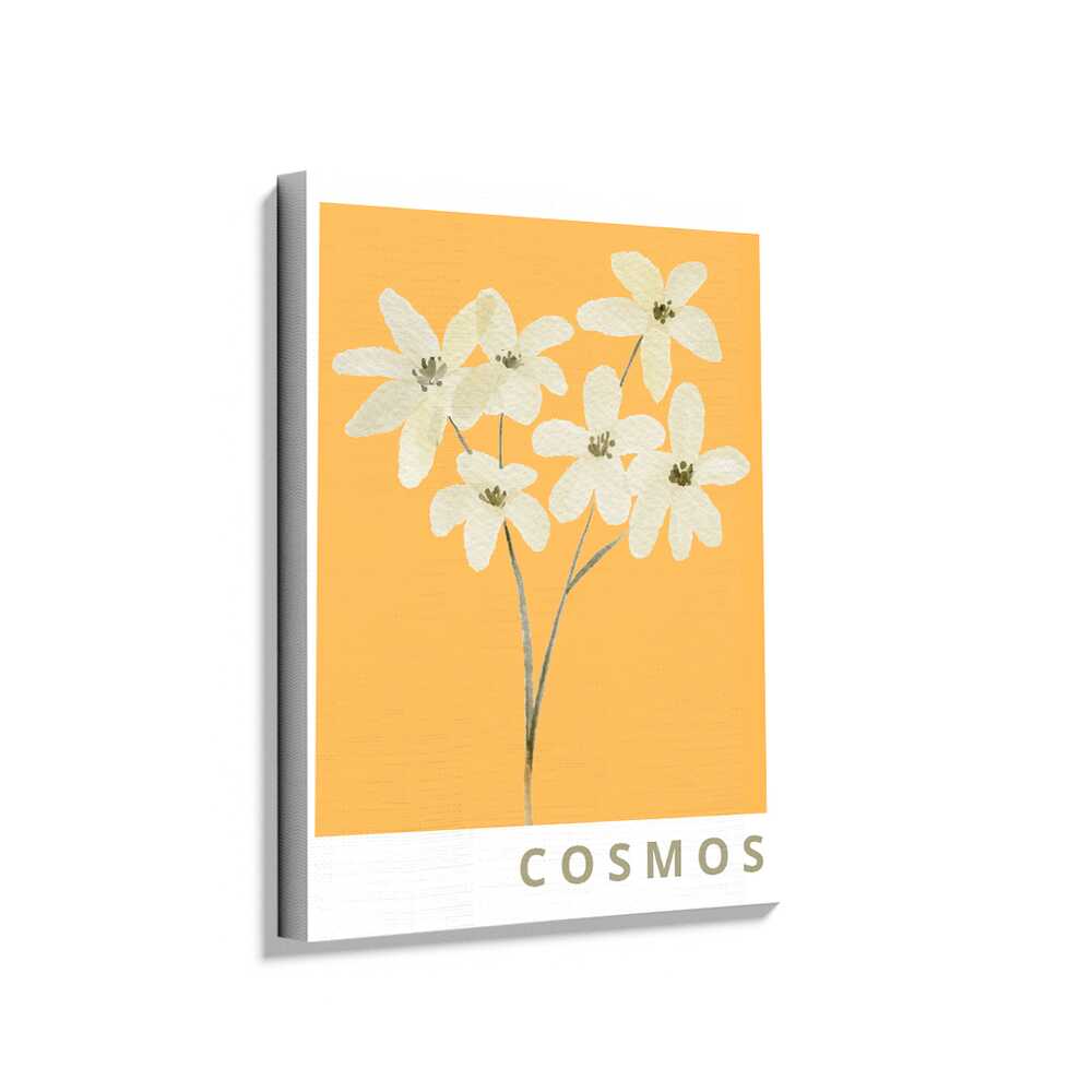 Picasoul - Picasoul Curated - Cosmos - Wall Decor