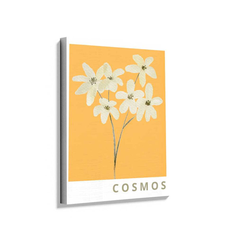 Picasoul - Picasoul Curated - Cosmos - Wall Decor