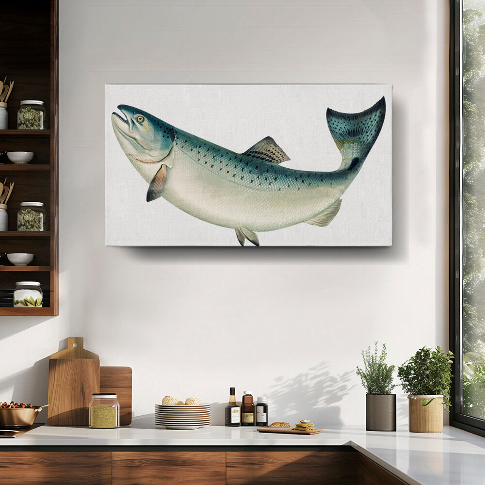 Graceful Salmon