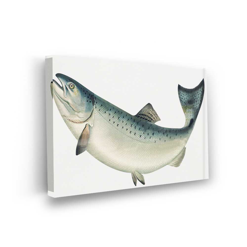 Picasoul - Picasoul Curated - Graceful Salmon - Wall Decor