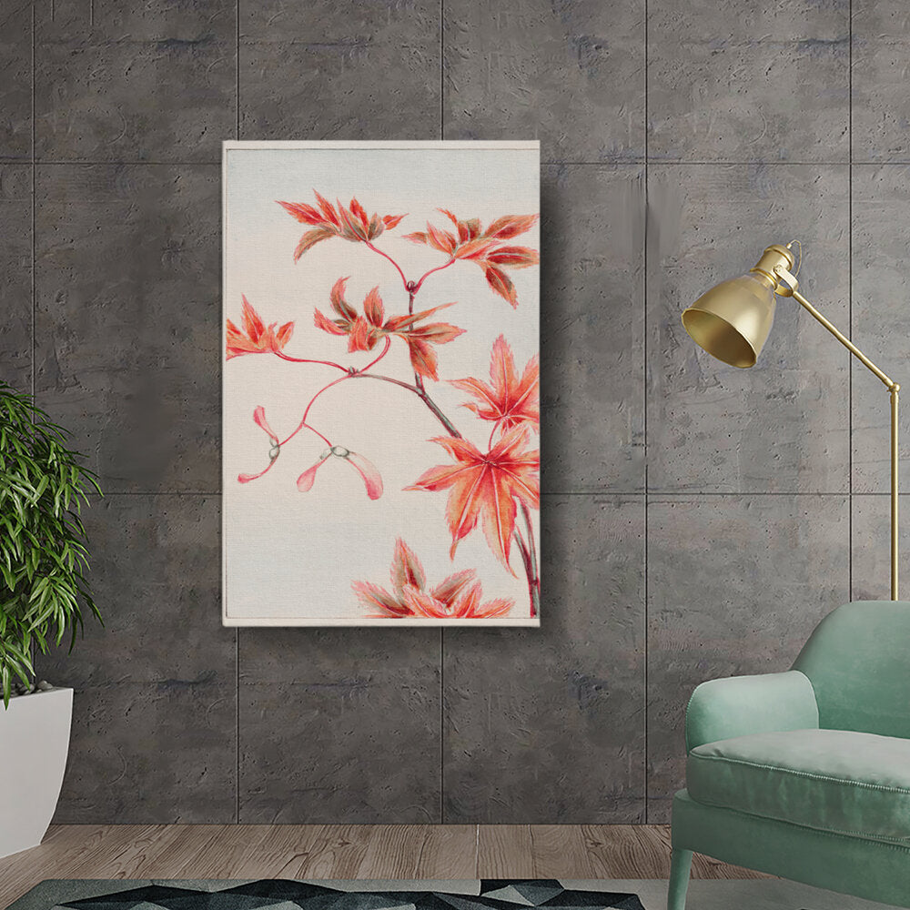 Spring Maple Blossoms