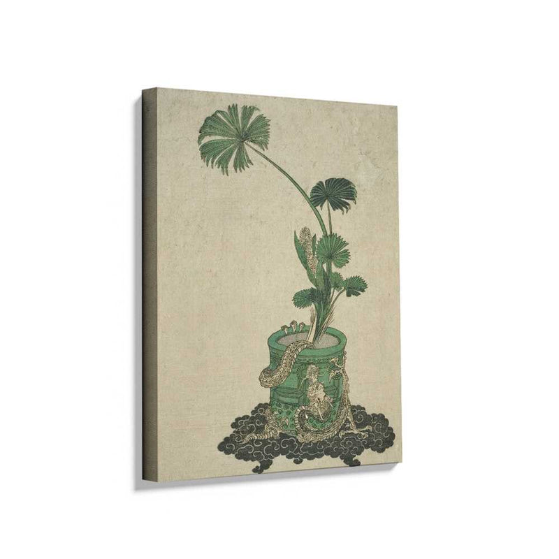 Picasoul - Picasoul Curated - Serpent Plant - Wall Decor