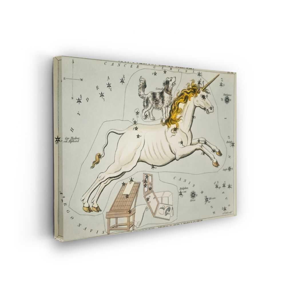Picasoul - Picasoul Curated - Celestial Unicorn - Wall Decor