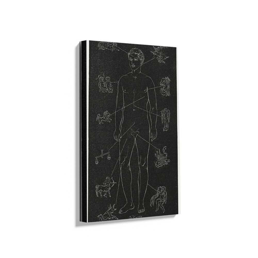 Picasoul - Picasoul Curated - Celestial Connections - Wall Decor