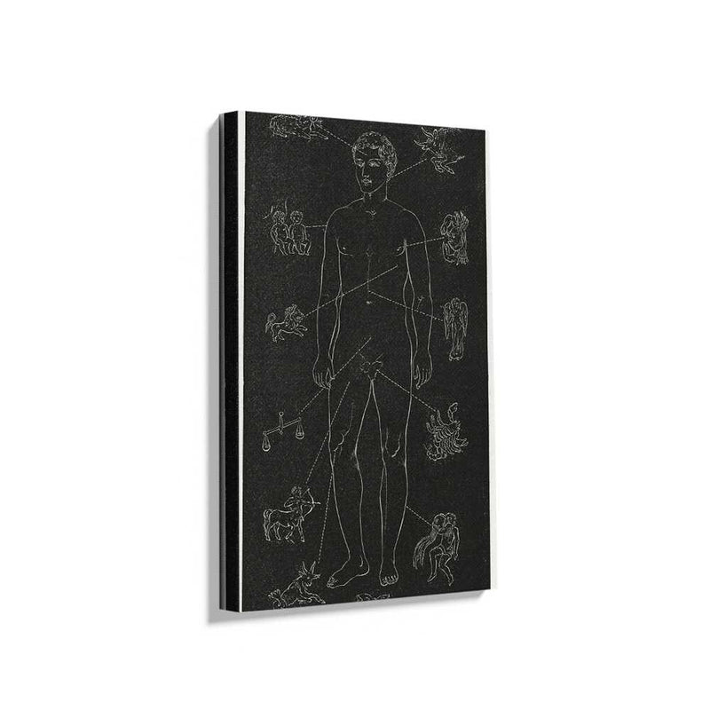 Picasoul - Picasoul Curated - Celestial Connections - Wall Decor