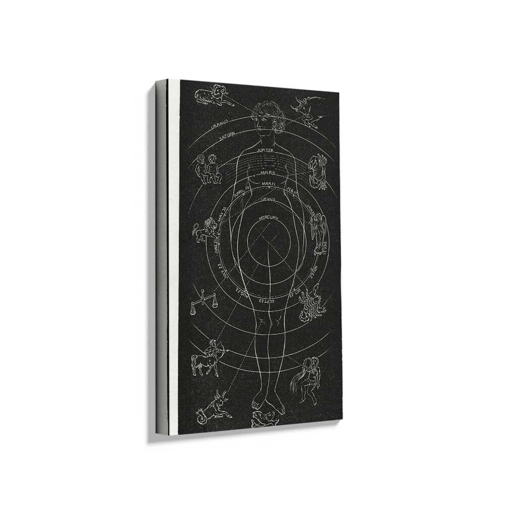 Picasoul - Picasoul Curated - Celestial Body Diagram - Wall Decor