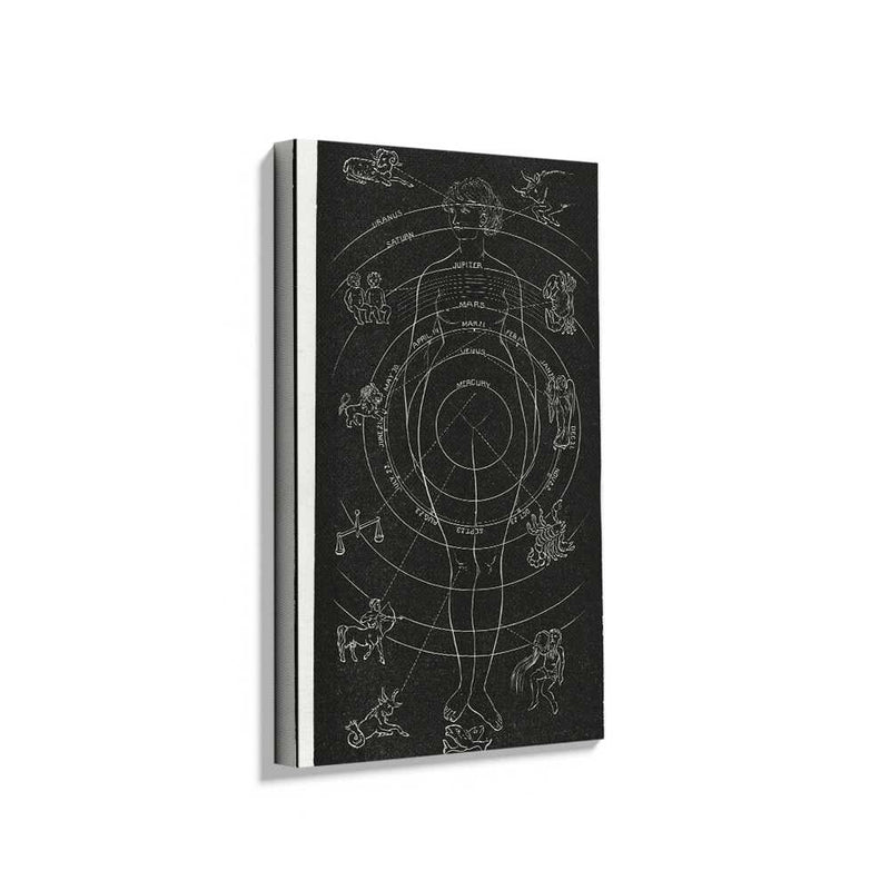 Picasoul - Picasoul Curated - Celestial Body Diagram - Wall Decor