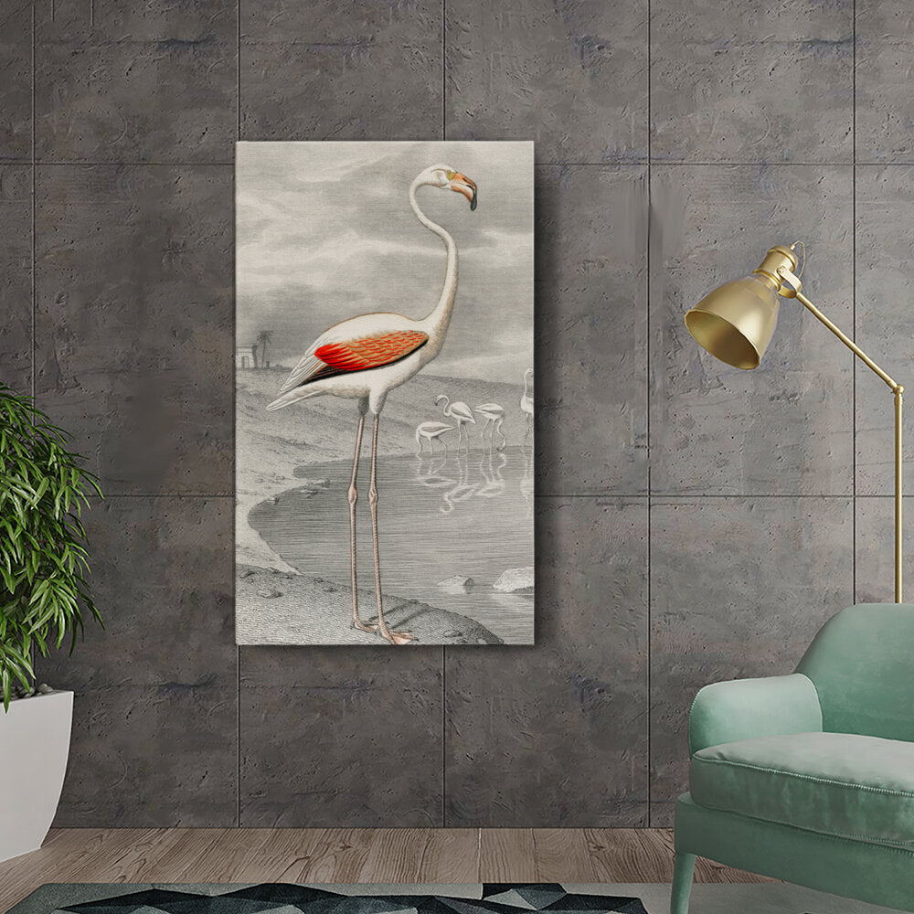 Elegant Flamingo By The Water