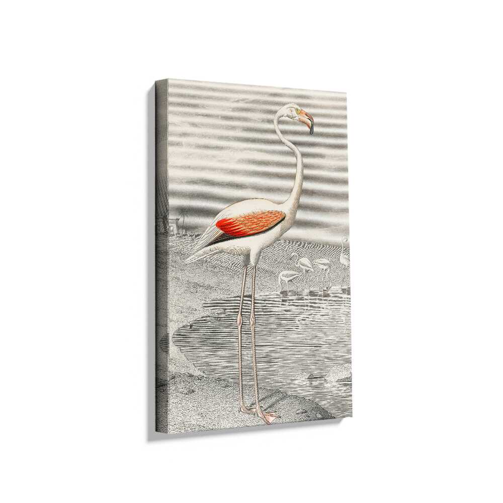 Picasoul - Picasoul Curated - Elegant Flamingo By The Water - Wall Decor