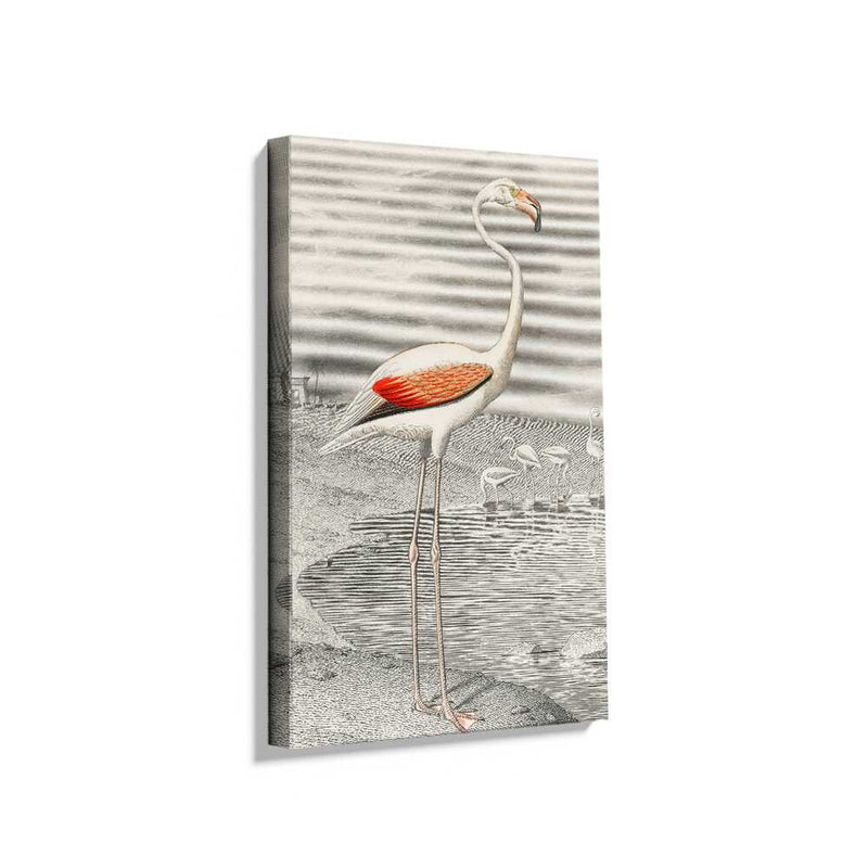 Picasoul - Picasoul Curated - Elegant Flamingo By The Water - Wall Decor