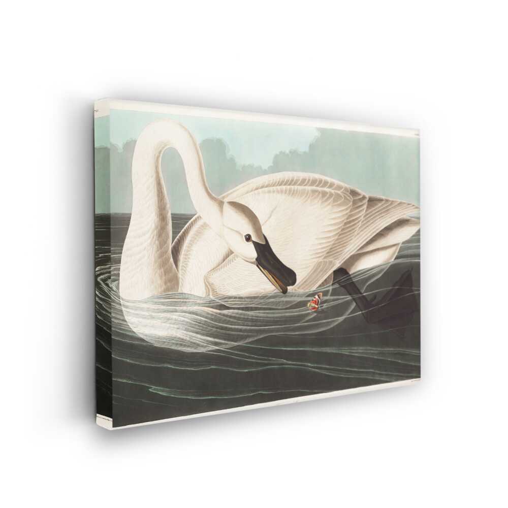Picasoul - Picasoul Curated - Graceful Swan - Wall Decor