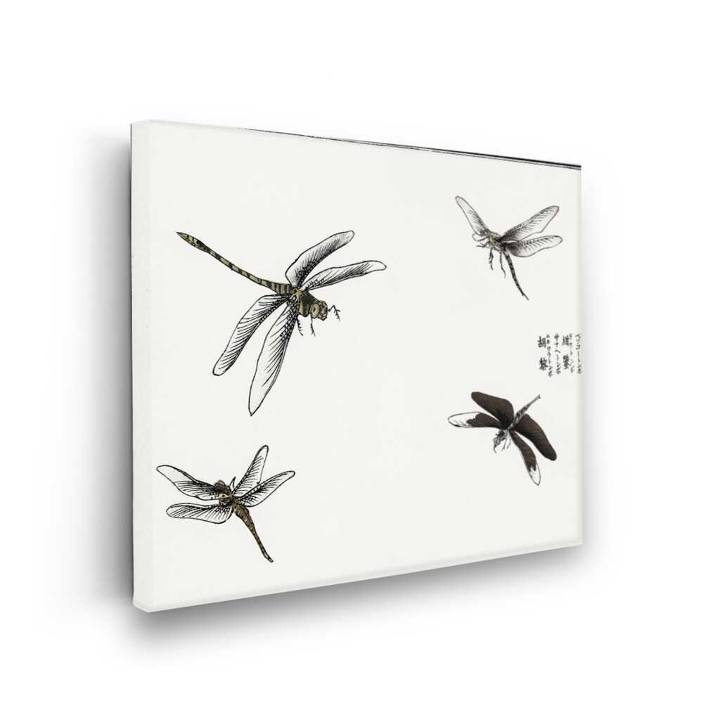 Picasoul - Picasoul Curated - Dragonfly Studies - Wall Decor