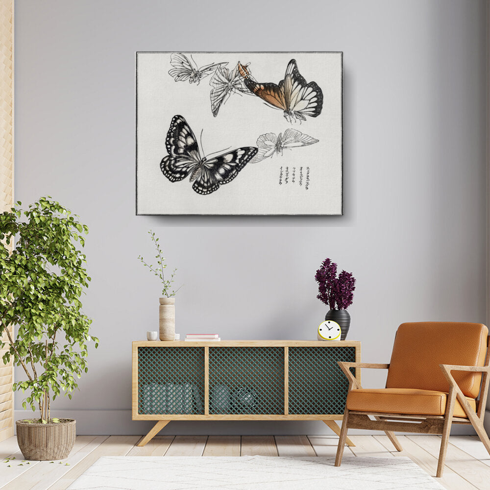Butterfly Study