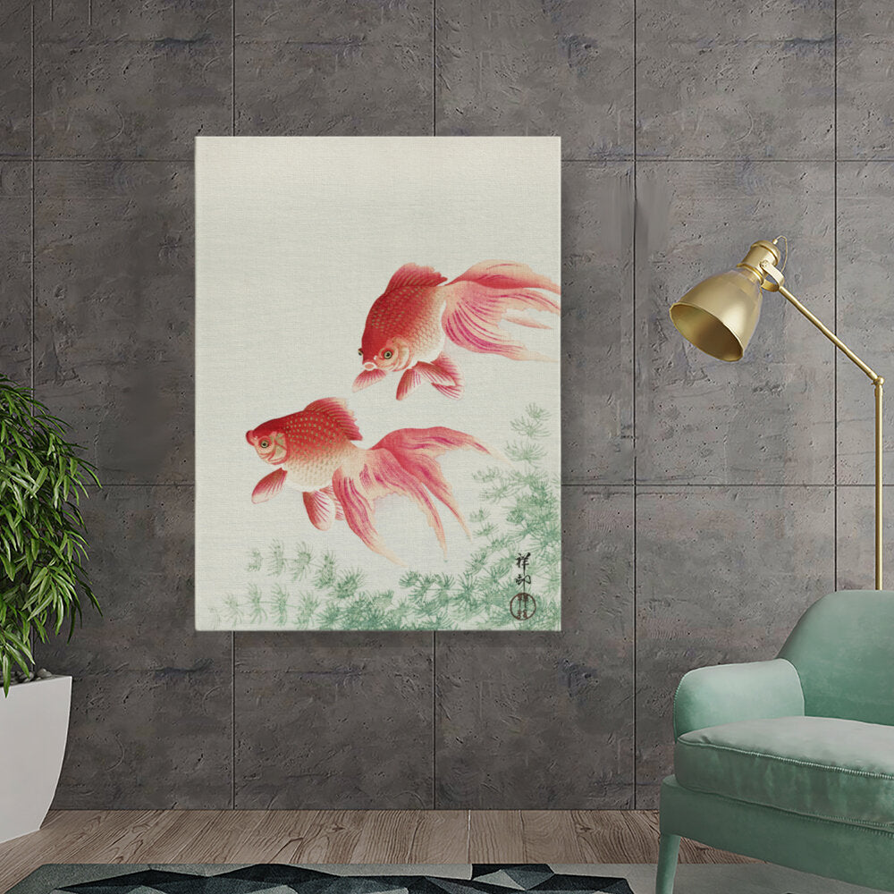 Graceful Goldfish