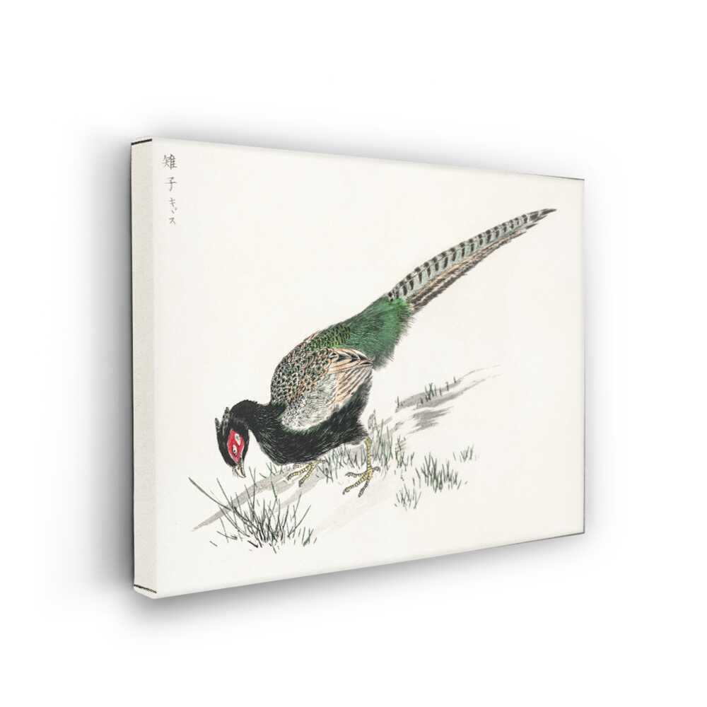 Picasoul - Picasoul Curated - Kisune Peacock - Wall Decor