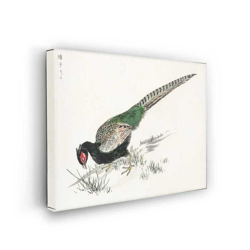 Picasoul - Picasoul Curated - Kisune Peacock - Wall Decor