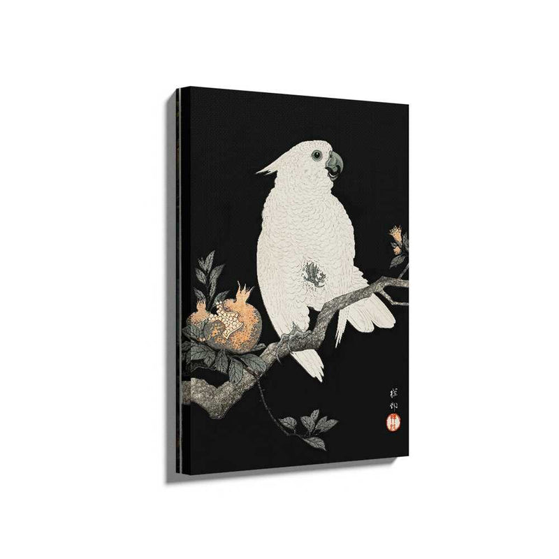 Picasoul - Picasoul Curated - Elegant White Cockatoo - Wall Decor