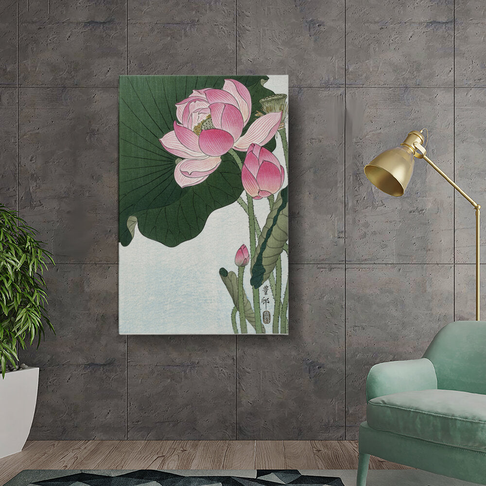 Blooming Lotus