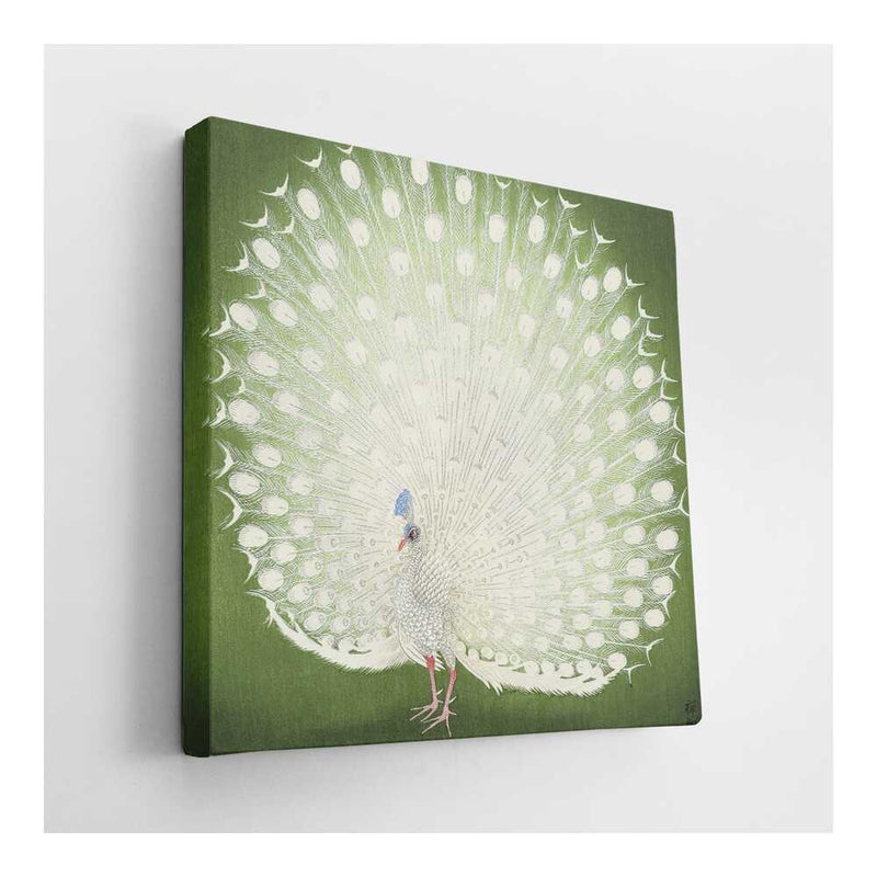 Picasoul - Picasoul Curated - Majestic White Peacock - Wall Decor