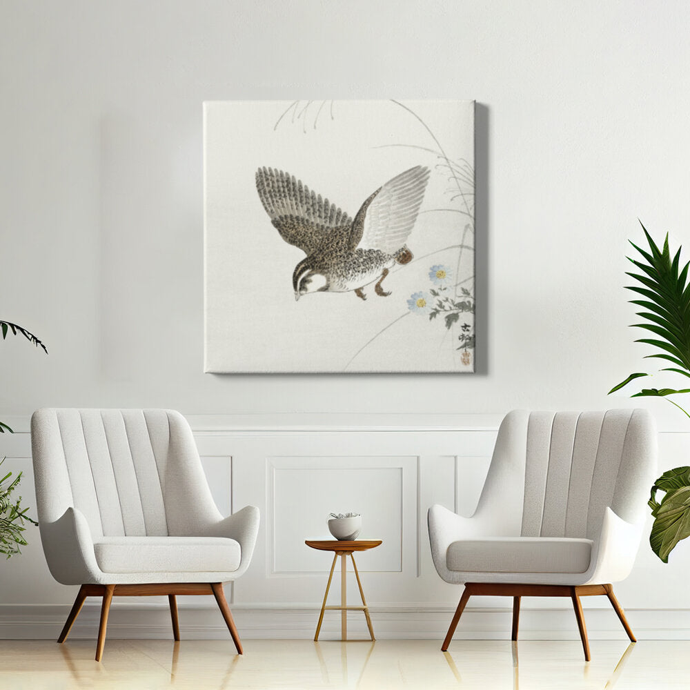 Soaring Hawk