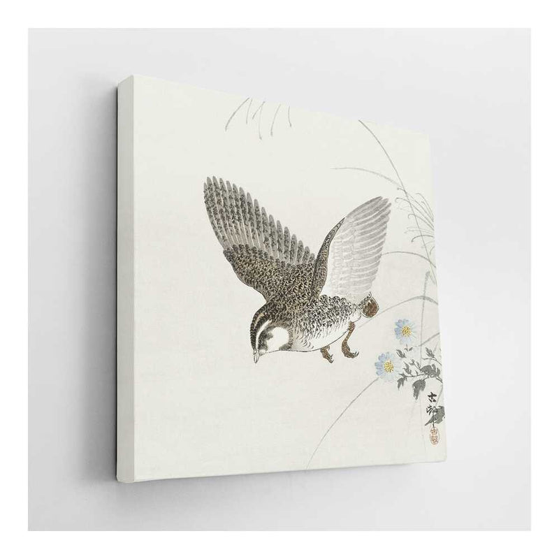 Picasoul - Picasoul Curated - Soaring Hawk - Wall Decor