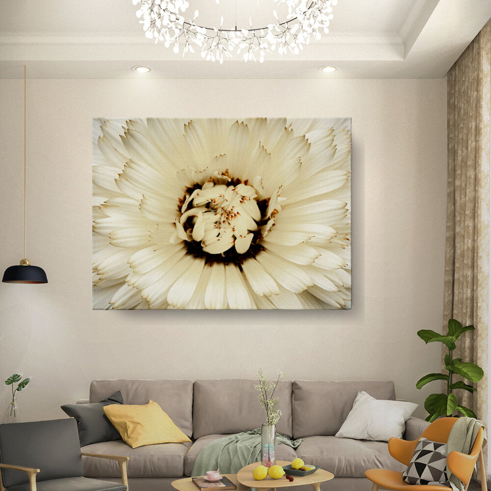 Delicate White Blossom 01