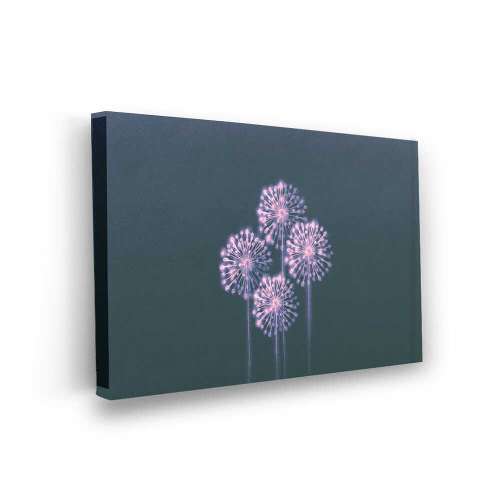 Picasoul - Picasoul Curated - Whimsical Fireworks - Wall Decor