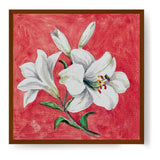 White Lily - Framed Canvas
