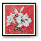 White Lily - WALL MOUNT FRAME