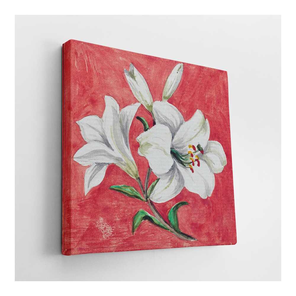 Picasoul - Picasoul Curated - White Lily - Wall Decor