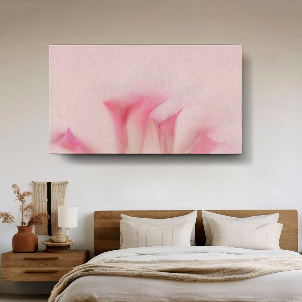 Soft Petals