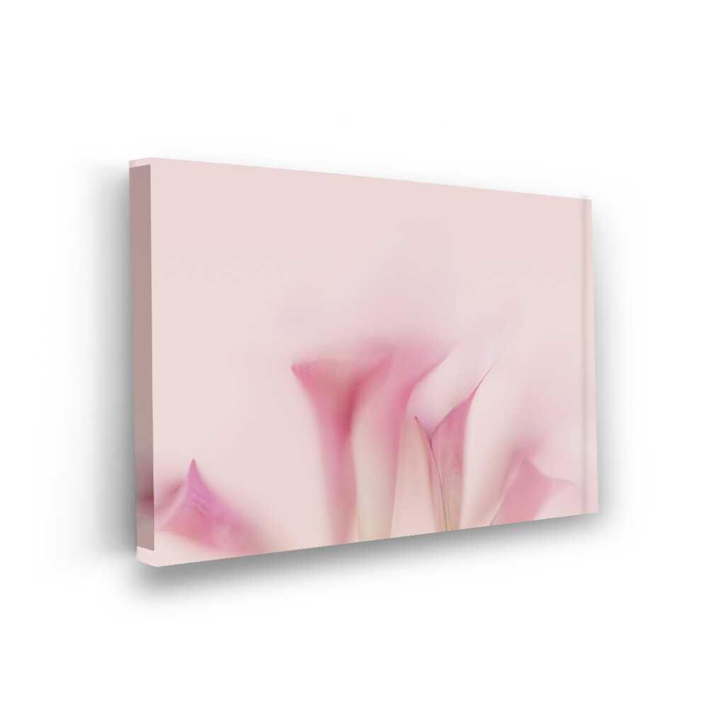 Picasoul - Picasoul Curated - Soft Petals - Wall Decor