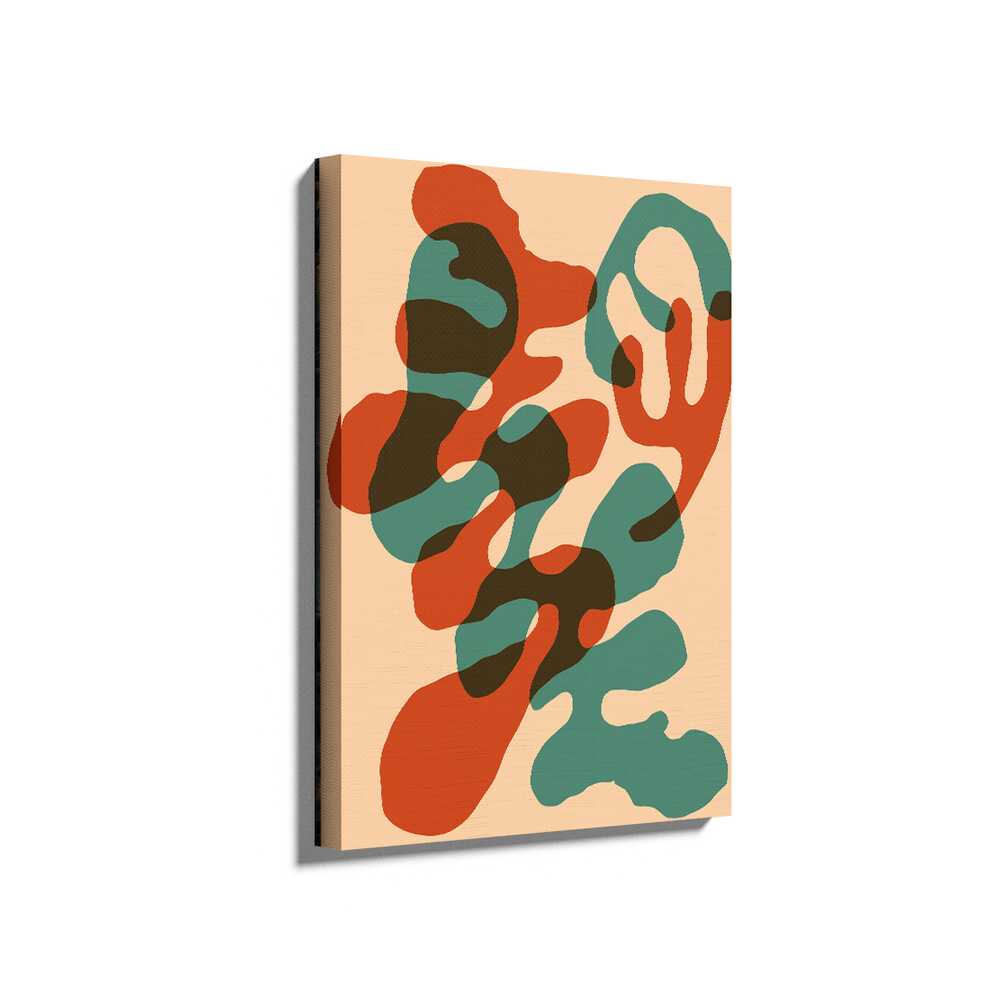 Picasoul - Picasoul Curated - Organic Shapes - Wall Decor
