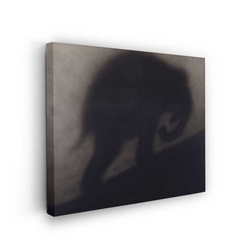 Picasoul - Picasoul Curated - Elephant Shadow - Wall Decor