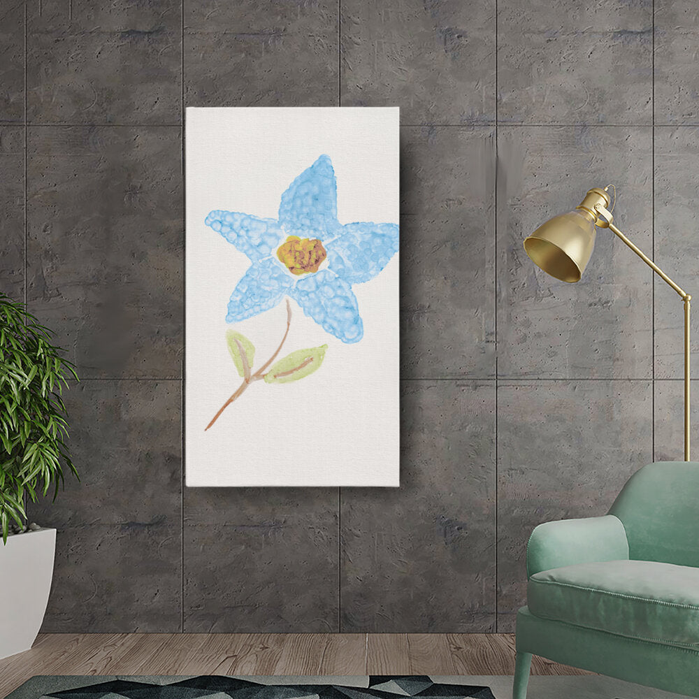 Blue Star Flower