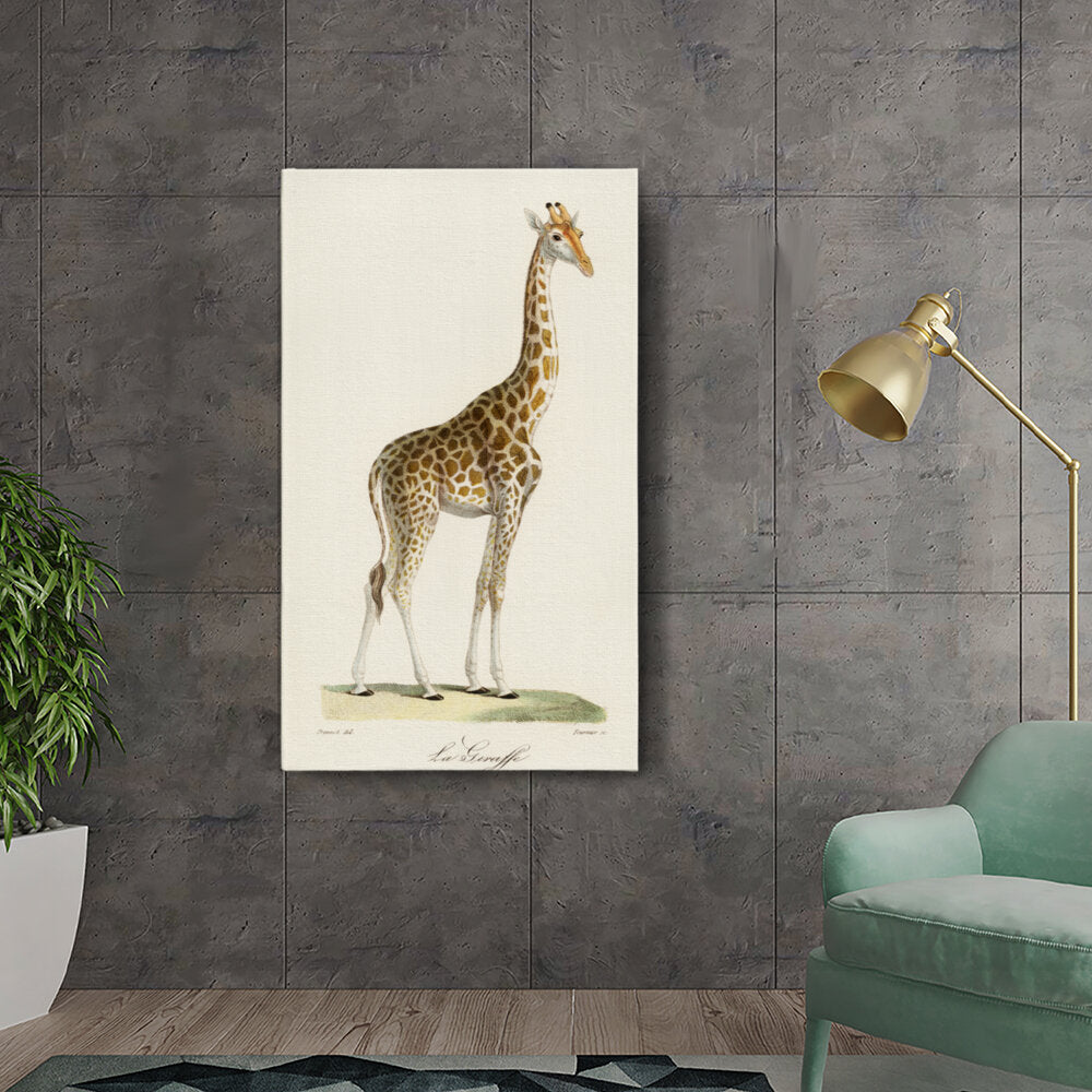 The Giraffe
