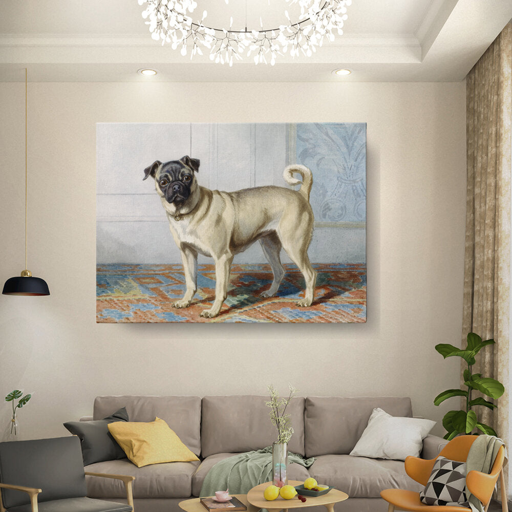 Pug In Living Room