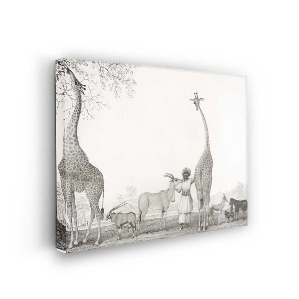 Picasoul - Picasoul Curated - The Giraffe Keeper - Wall Decor