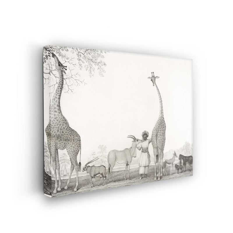 Picasoul - Picasoul Curated - The Giraffe Keeper - Wall Decor