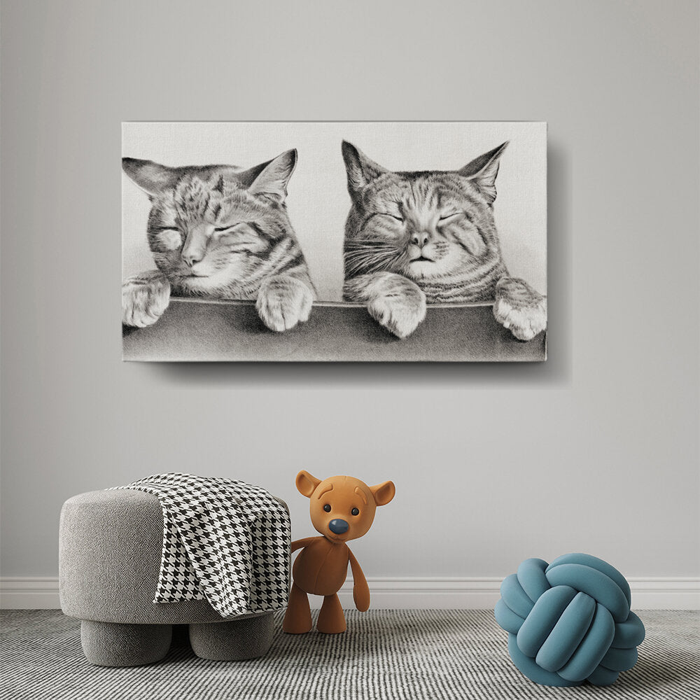 Two Relaxed Cats