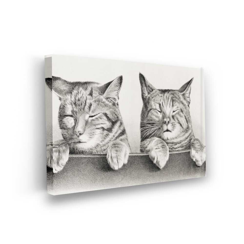 Picasoul - Picasoul Curated - Two Relaxed Cats - Wall Decor