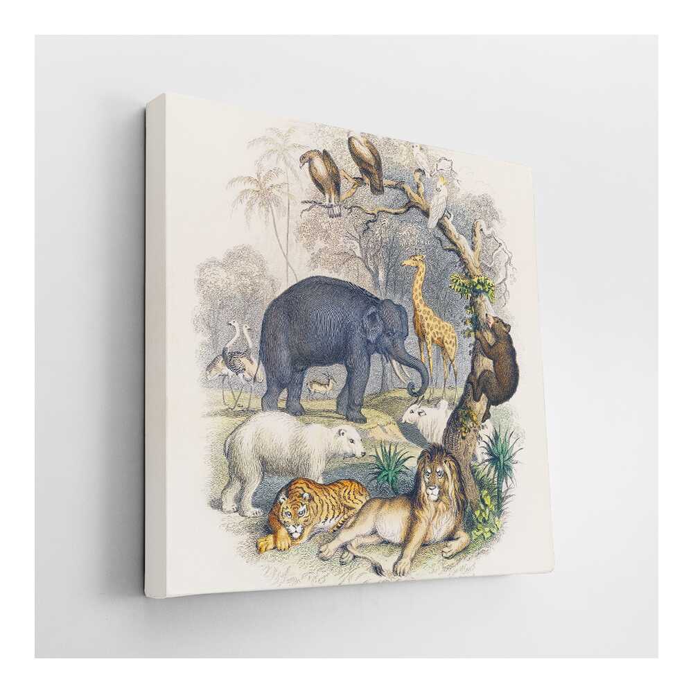 Picasoul - Picasoul Curated - Wildlife Gathering - Wall Decor